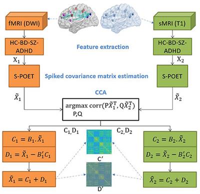 Decomposition-Based Correlation Learning for Multi-Modal MRI-Based Classification of Neuropsychiatric Disorders